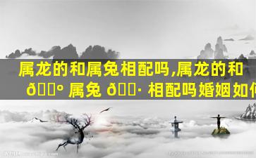 属龙的和属兔相配吗,属龙的和 🌺 属兔 🌷 相配吗婚姻如何